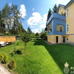  Apartment Pineapple Dresdner Heide Mit Garten Deutschland